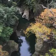 gajiの画像