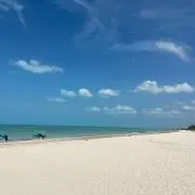 ラタの画像