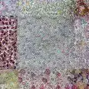 じかの画像
