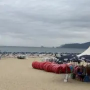 NIKO227の画像