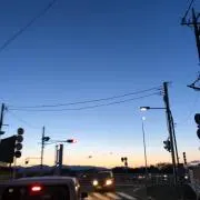 すだち