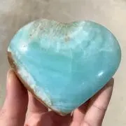 ナムの画像
