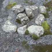 みーみ♪の画像