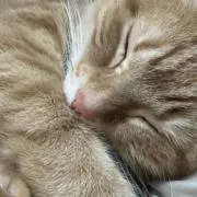 mの画像