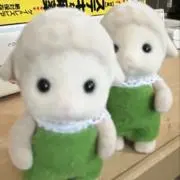 ゆの画像