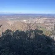 ハムの画像