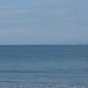 Nicoの画像