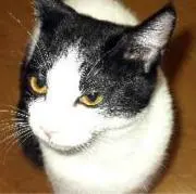 はるるん