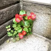 Jun Daimatsuの画像