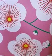 hanaの画像