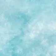 りんこ"の画像