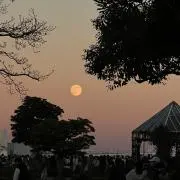 ちょこの画像