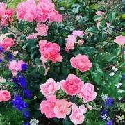 m.k.mom*お値下げ交渉不可*の画像