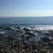 まさよし