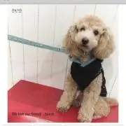 Aaronの画像