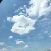 Poriの画像