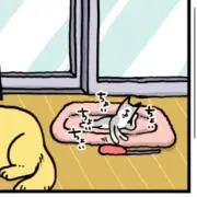 そらの画像