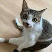 りら