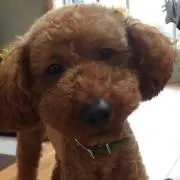 永遠