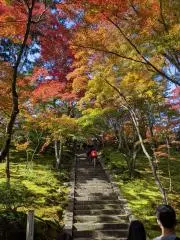 りりぃの画像