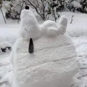 nnsmrの画像