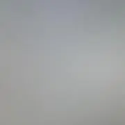 増岡大輝