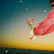 綾の画像