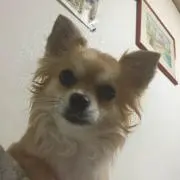 みみみ