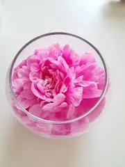 おみほの画像