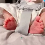 ntmの画像