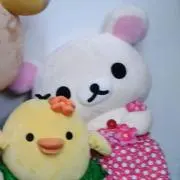 かいと