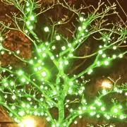 chiwakiyoの画像