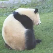 なつの画像