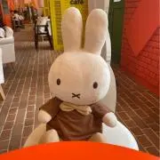 りさこんぶの画像