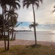 kinakoの画像