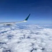 のこの画像