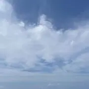 G U M Iの画像