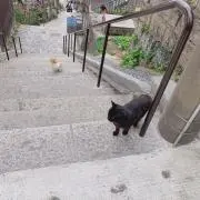 さき