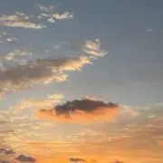 Tomoの画像