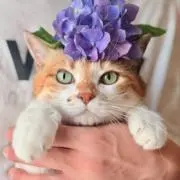 Jackieの画像