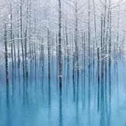 woo