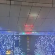 安男の画像