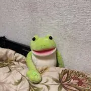 せろりの画像