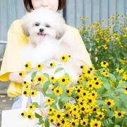 little__Aの画像