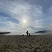 JUJUの画像