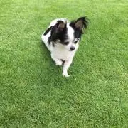 jun2