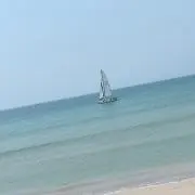 マヨ