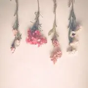 ゆめ‪‪‪の画像