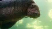 メガネ兄さん