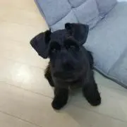 ねるぽん